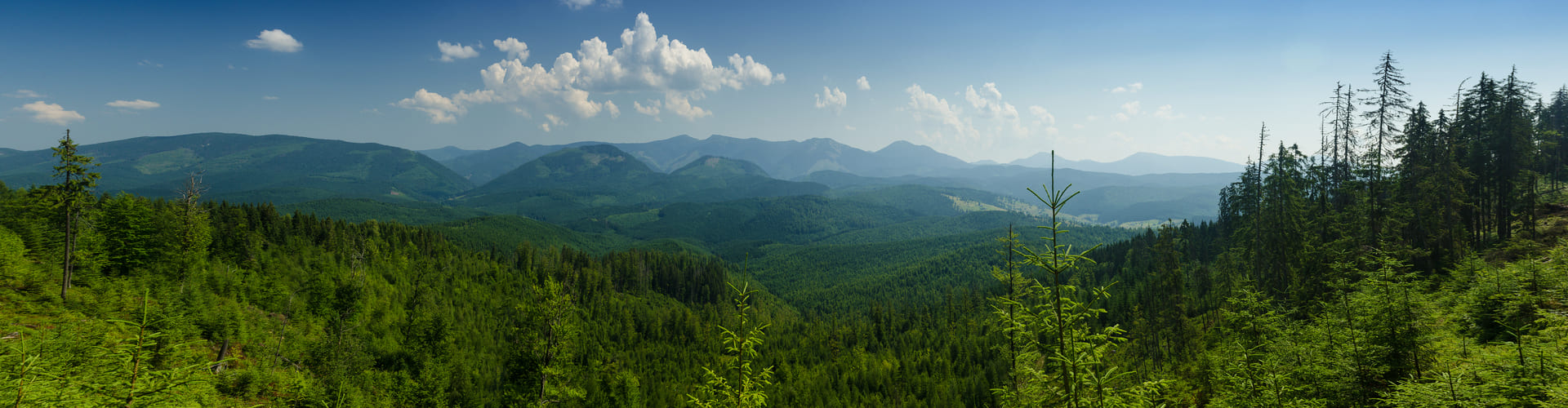 carpathian mountains summer landscape with blue sky clouds natural background panoramic view