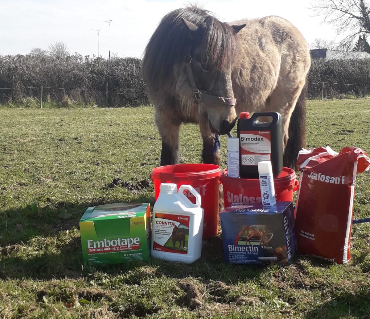 pony standing behind a grouping of Bimeda products